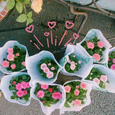 尊龙人生就是博登录